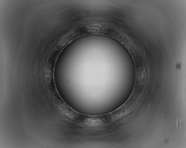 X0000100190749200805301247