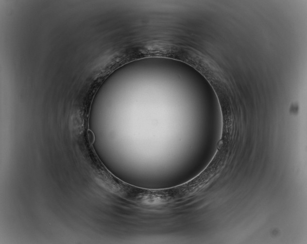X0000100190751200805301247