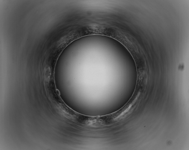 X0000100190752200805301247