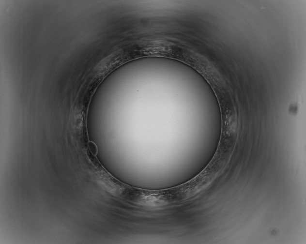 X0000100190753200805301247