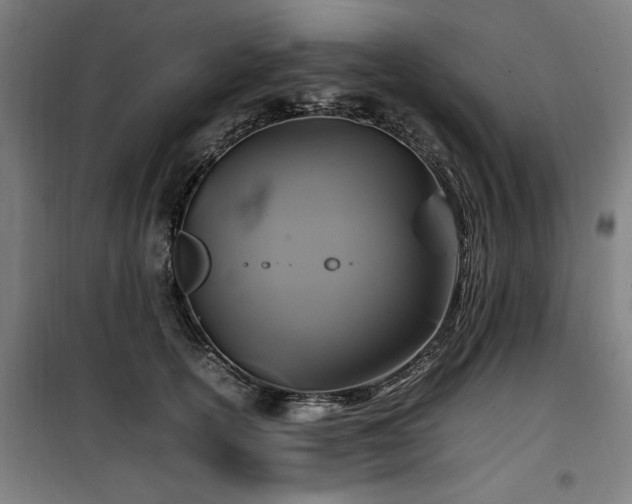 X0000100190754200805301247