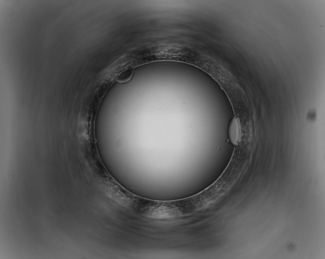 X0000100190755200805301247