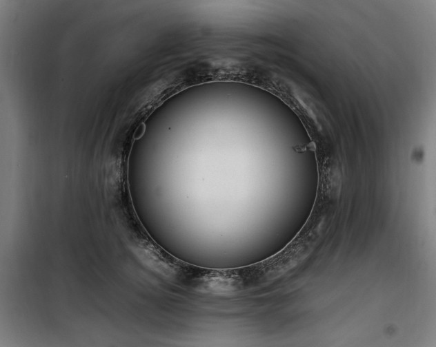 X0000100190756200805301247