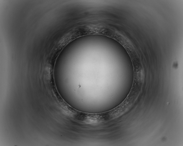X0000100190757200805301247