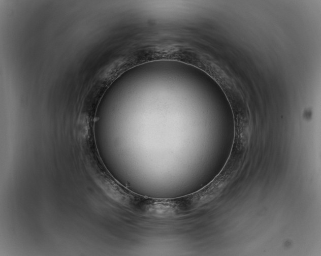 X0000100190758200805301247