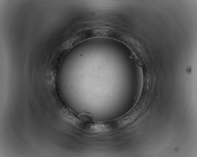 X0000100190759200805301247