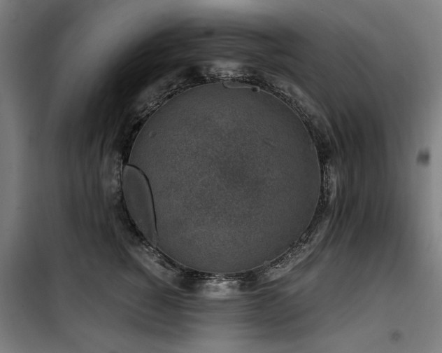 X0000100190760200805301247