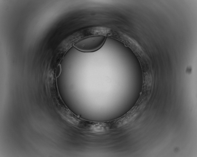 X0000100190761200805301247