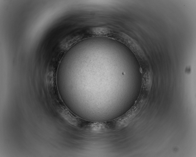 X0000100190762200805301247