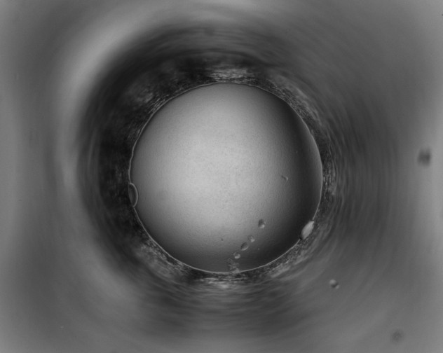 X0000100190763200805301247