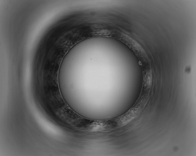 X0000100190764200805301247
