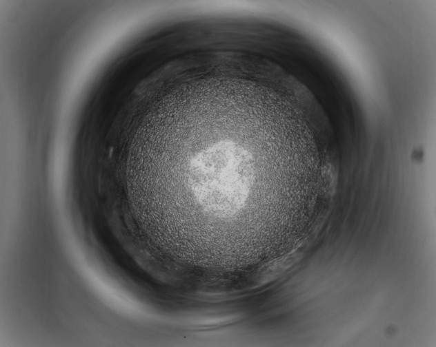 X0000100190765200805301247