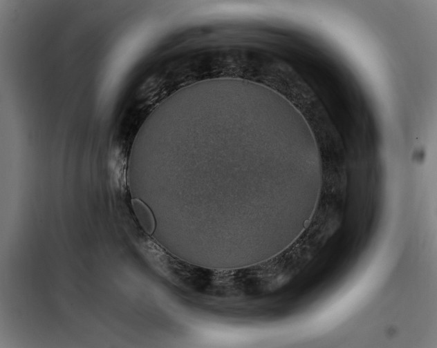 X0000100190766200805301247