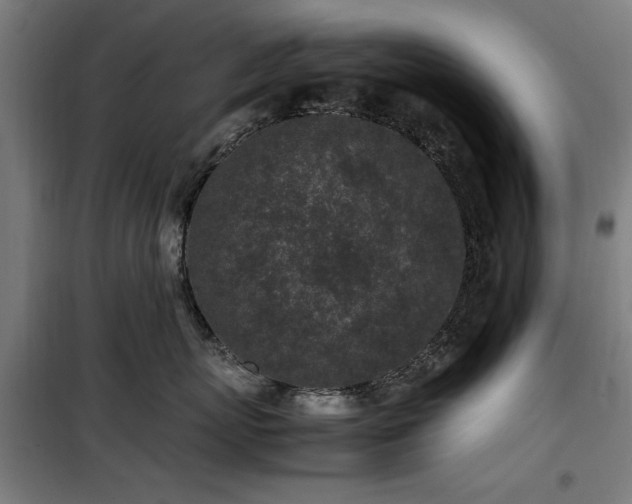 X0000100190767200805301247