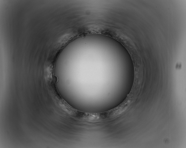 X0000100190768200805301247