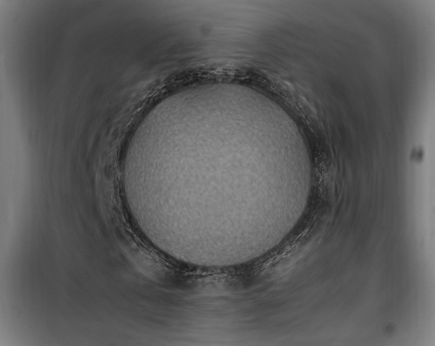 X0000100190769200805301246