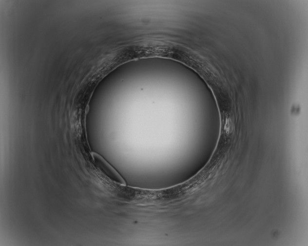 X0000100190771200805301246