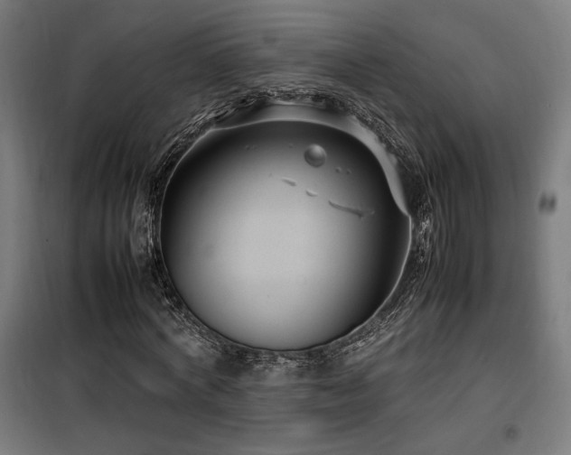 X0000100190772200805301246