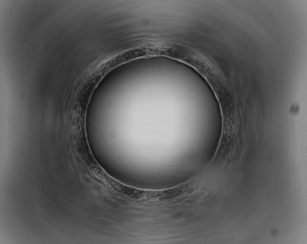 X0000100190773200805301246