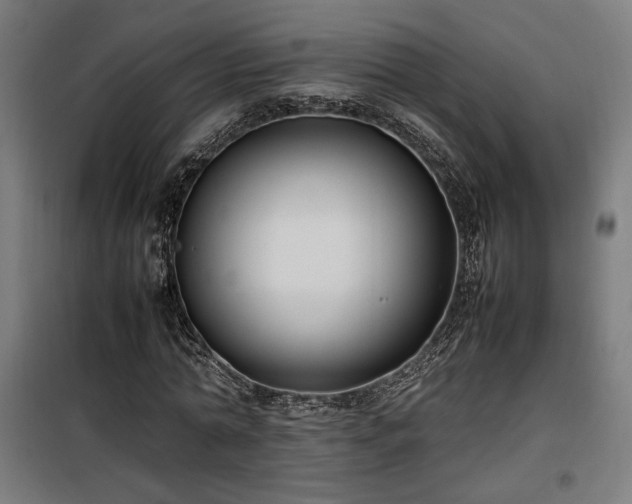 X0000100190774200805301246