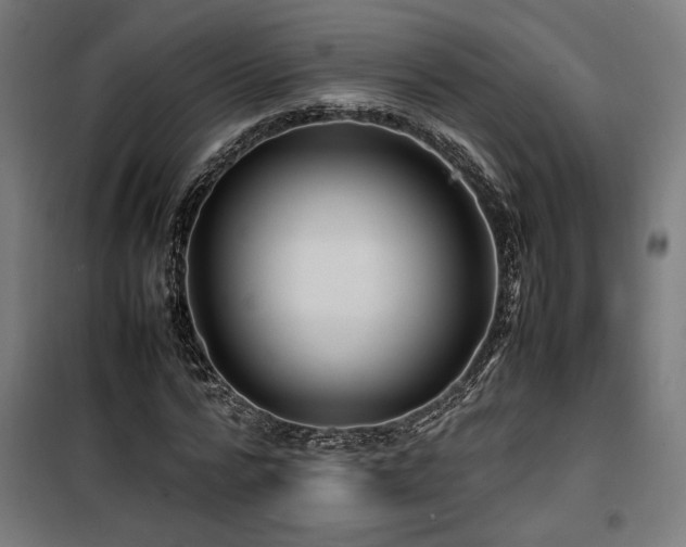 X0000100190776200805301246