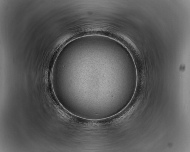 X0000100190777200805301246