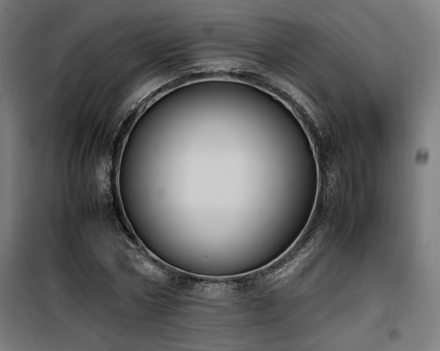 X0000100190778200805301246