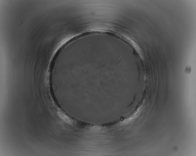 X0000100190779200805301246