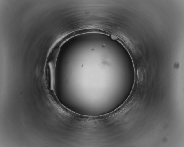 X0000100190780200805301246