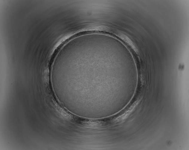 X0000100190781200805301246