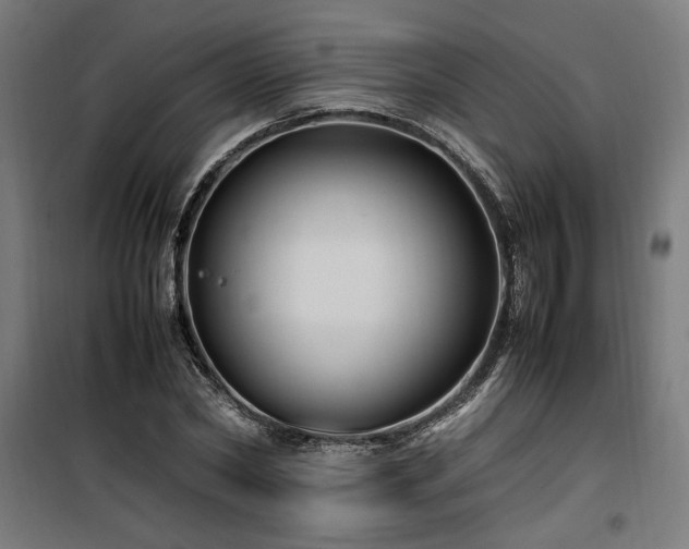 X0000100190782200805301246