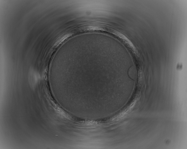 X0000100190785200805301246