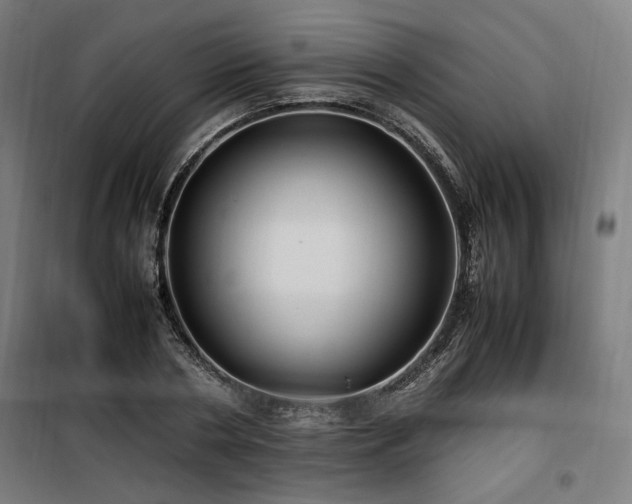 X0000100190786200805301246
