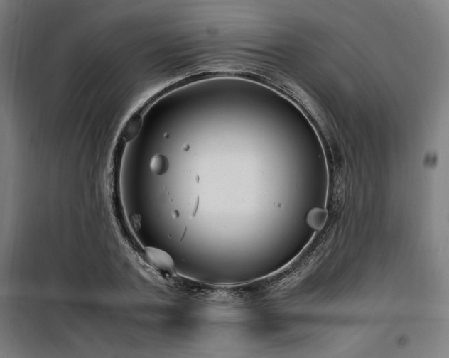X0000100190787200805301246