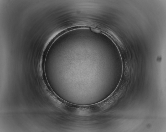 X0000100190788200805301246
