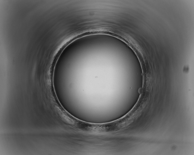 X0000100190789200805301246