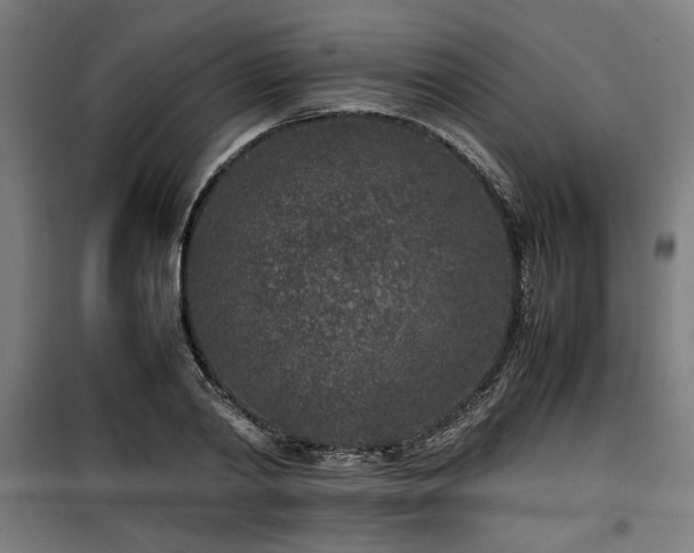 X0000100190790200805301246