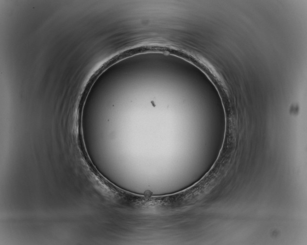 X0000100190791200805301246