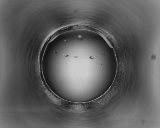 X0000100190792200805301246