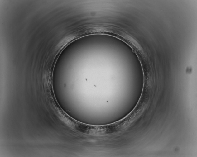 X0000100190793200805301246