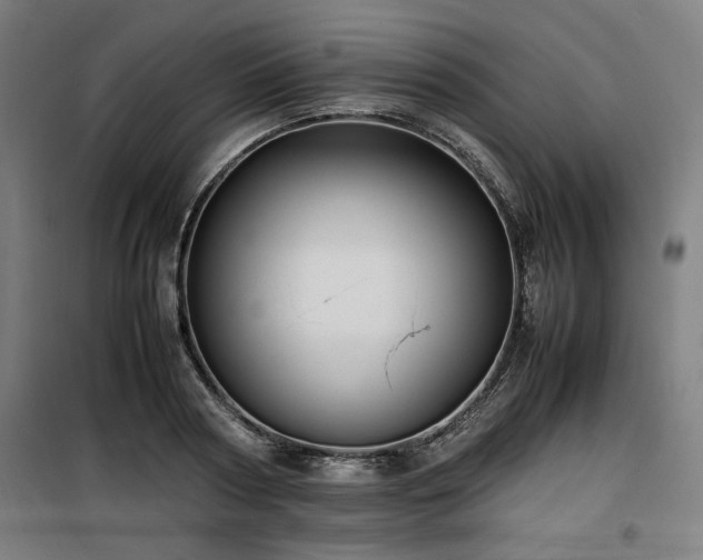 X0000100190794200805301246