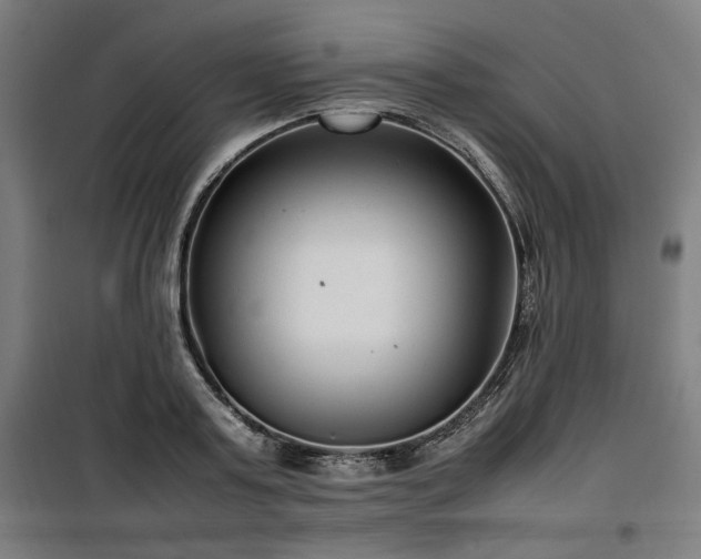 X0000100190795200805301246
