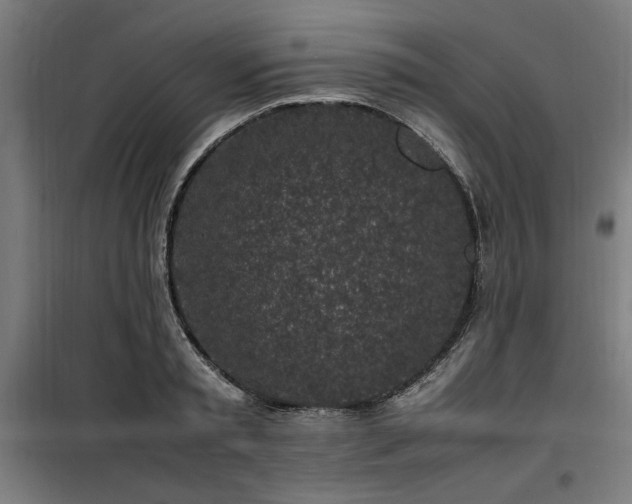 X0000100190797200805301246
