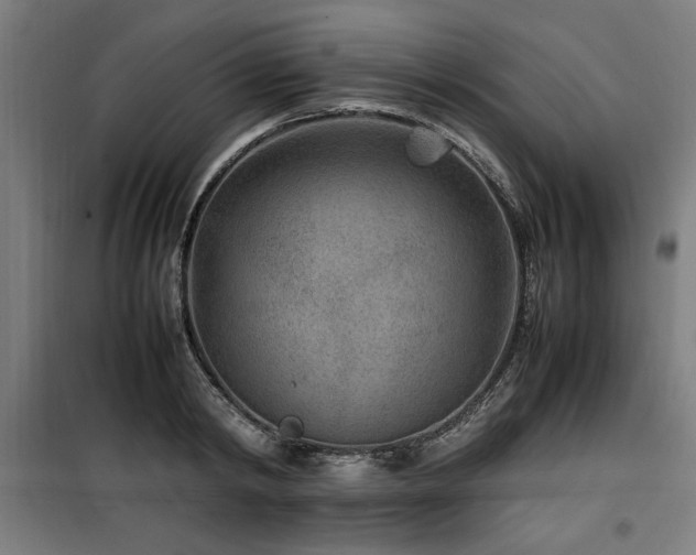 X0000100190798200805301246