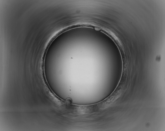 X0000100190799200805301246