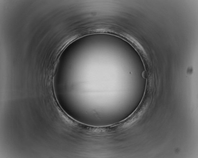 X0000100190801200805301246