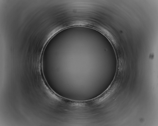 X0000100190802200805301246