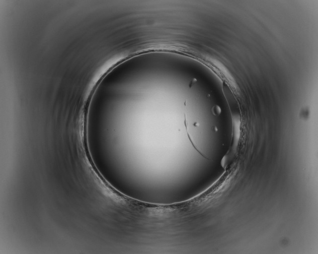 X0000100190804200805301246