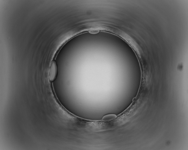 X0000100190805200805301246