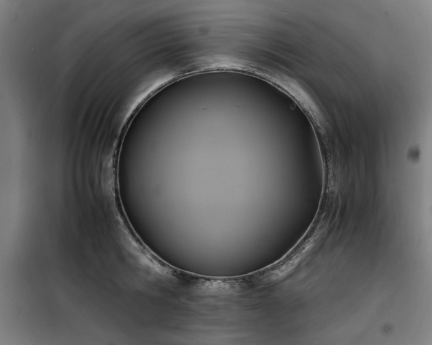 X0000100190806200805301246